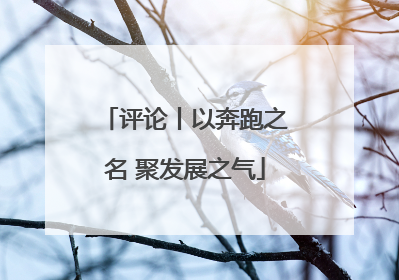 评论丨以奔跑之名 聚发展之气