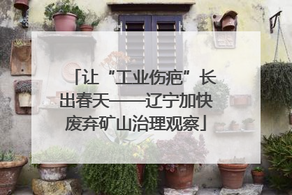 让“工业伤疤”长出春天——辽宁加快废弃矿山治理观察