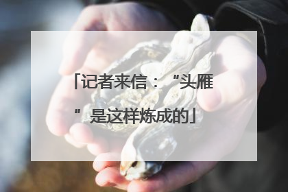 记者来信：“头雁”是这样炼成的