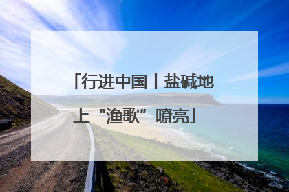 行进中国丨盐碱地上“渔歌”嘹亮