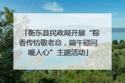 衡东县民政局开展“粽香传情敬老意，端午慰问暖人心”主题活动