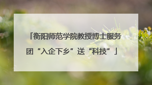 衡阳师范学院教授博士服务团“入企下乡”送“科技”