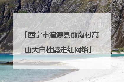 西宁市湟源县前沟村高山大白杜鹃走红网络