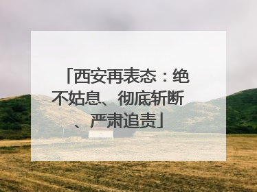 西安再表态：绝不姑息、彻底斩断、严肃追责