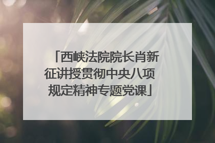 西峡法院院长肖新征讲授贯彻中央八项规定精神专题党课