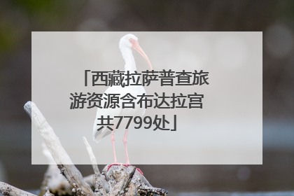 西藏拉萨普查旅游资源含布达拉宫共7799处