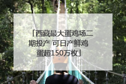 西藏最大蛋鸡场二期投产 可日产鲜鸡蛋超150万枚