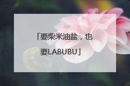 要柴米油盐，也要LABUBU