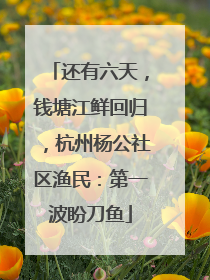还有六天，钱塘江鲜回归，杭州杨公社区渔民：第一波盼刀鱼