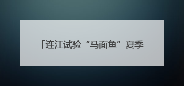 连江试验“马面鱼”夏季高温混养 为福建首次