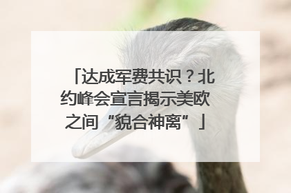 达成军费共识？北约峰会宣言揭示美欧之间“貌合神离”