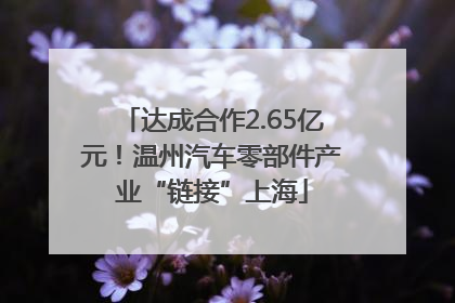 达成合作2.65亿元！温州汽车零部件产业“链接”上海