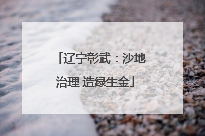 辽宁彰武：沙地治理 造绿生金