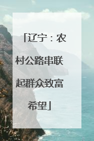 辽宁：农村公路串联起群众致富希望