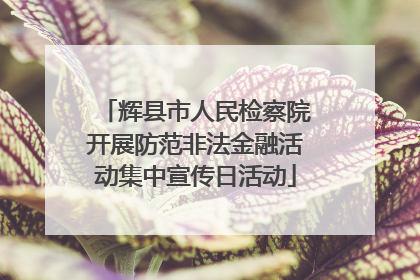 辉县市人民检察院开展防范非法金融活动集中宣传日活动