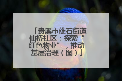 贵溪市雄石街道仙桥社区：探索“红色物业”，推动基层治理（图）