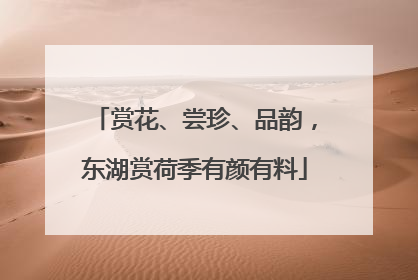 赏花、尝珍、品韵，东湖赏荷季有颜有料