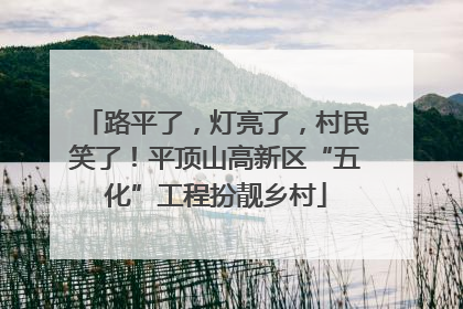 路平了，灯亮了，村民笑了！平顶山高新区“五化”工程扮靓乡村