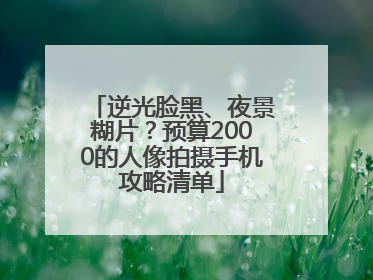 逆光脸黑、夜景糊片？预算2000的人像拍摄手机攻略清单