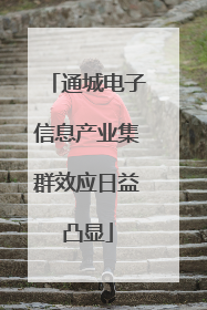 通城电子信息产业集群效应日益凸显