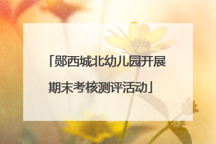 郧西城北幼儿园开展期末考核测评活动