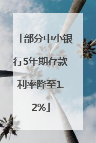 部分中小银行5年期存款利率降至1.2%