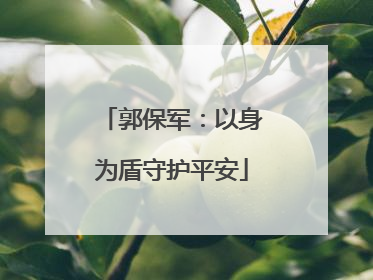 郭保军：以身为盾守护平安