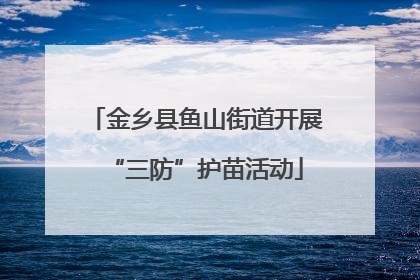 金乡县鱼山街道开展“三防”护苗活动