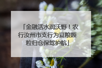 金融活水润沃野！农行汝州市支行为夏粮颗粒归仓保驾护航