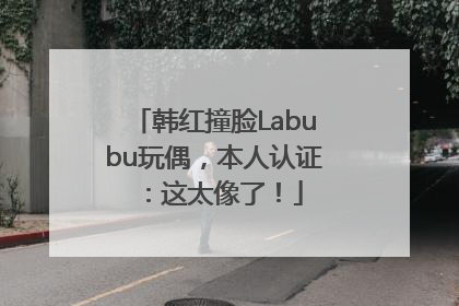 韩红撞脸Labubu玩偶，本人认证：这太像了！