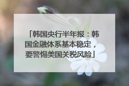 韩国央行半年报：韩国金融体系基本稳定，要警惕美国关税风险