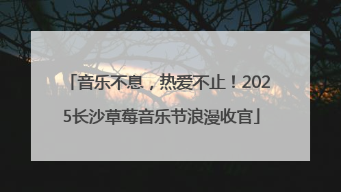 音乐不息，热爱不止！2025长沙草莓音乐节浪漫收官