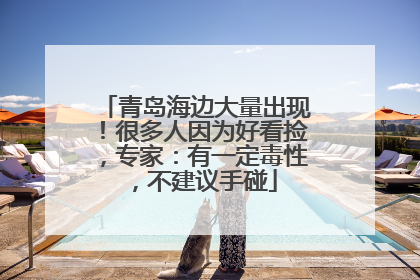 青岛海边大量出现！很多人因为好看捡，专家：有一定毒性，不建议手碰
