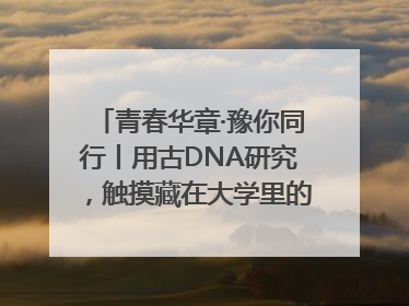 青春华章·豫你同行丨用古DNA研究，触摸藏在大学里的“上下五千年”