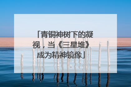 青铜神树下的凝视，当《三星堆》成为精神镜像
