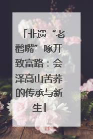 非遗“老鹳嘴”啄开致富路：会泽高山苦荞的传承与新生