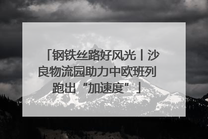 钢铁丝路好风光丨沙良物流园助力中欧班列跑出“加速度”
