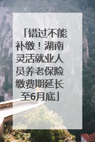 错过不能补缴！湖南灵活就业人员养老保险缴费期延长至6月底