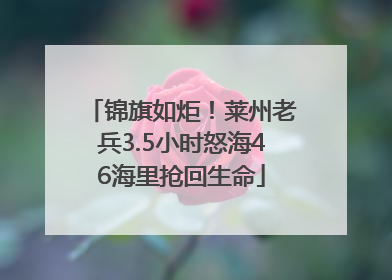锦旗如炬！莱州老兵3.5小时怒海46海里抢回生命