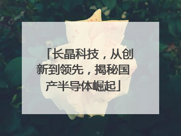 长晶科技，从创新到领先，揭秘国产半导体崛起