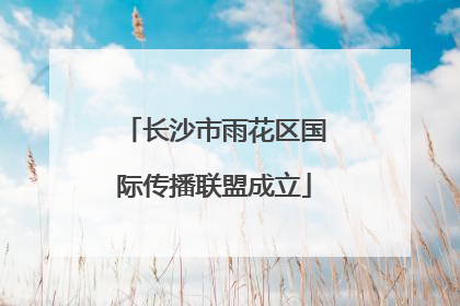 长沙市雨花区国际传播联盟成立