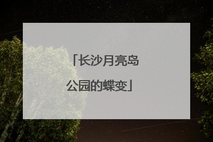 长沙月亮岛公园的蝶变