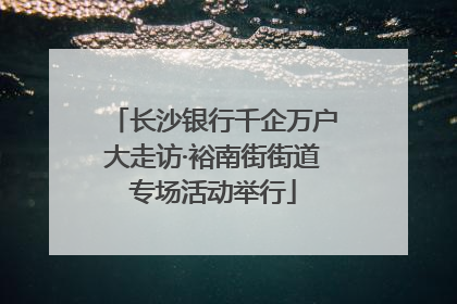 长沙银行千企万户大走访·裕南街街道专场活动举行