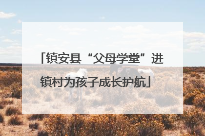 镇安县“父母学堂”进镇村为孩子成长护航