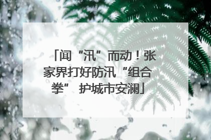 闻“汛”而动！张家界打好防汛“组合拳” 护城市安澜
