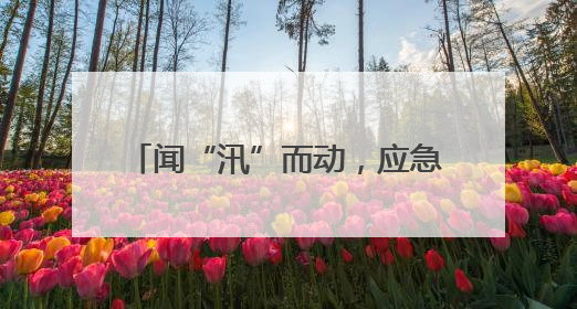 闻“汛”而动，应急先行——河口区应急局开展2025年水上应急救援实战演练