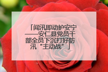 闻汛即动护安宁——安仁县党员干部全员下沉打好防汛“主动战”