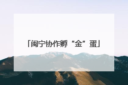 闽宁协作孵“金”蛋