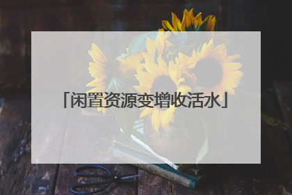 闲置资源变增收活水