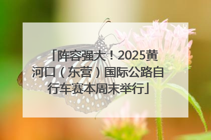 阵容强大！2025黄河口（东营）国际公路自行车赛本周末举行